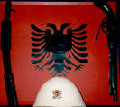 shqiponja foto