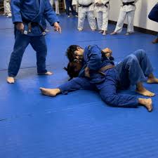Image result for Halewood Inclusive Judo Club