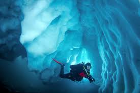 Image result for Blue Water Diving