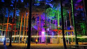 Image result for Go Ape! Moors Valley