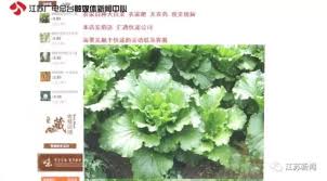 Image result for 公害SEARCH