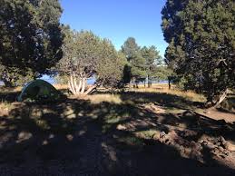 Image result for Ashurst WI*