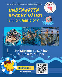 Image result for Stirling University Underwater Hockey Club