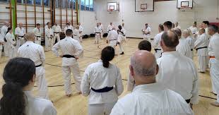 Image result for Haslemere Karate Club