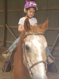 Image result for The Riding Centre