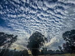 Attēlu rezultāti vaicājumam “altocumulus”