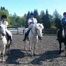 Image result for Dalkeith Park Equestrian Club