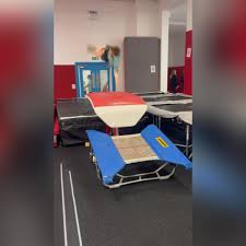 Image result for Harrogate School Of Gymnastics