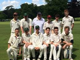 Image result for Saffron Walden Cricket Club
