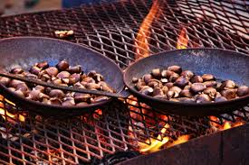 Attēlu rezultāti vaicājumam “Licea castanea”