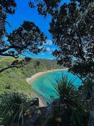 Image result for new chums beach