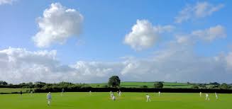 Image result for Burwarton Cricket Club