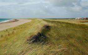 Image result for example