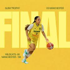 Image result for Nottingham Wildcats