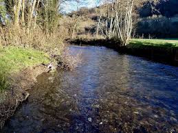 Image result for Dulverton Angling Association