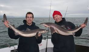 Image result for Bristol Channel Sea Fishing