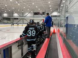 Image result for Ash Avalanche Skater Hockey Club