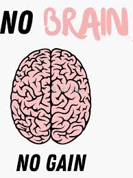 Image result for no brain