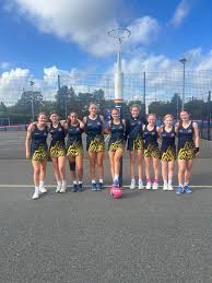 Image result for Ipswich Ladies Netball Club