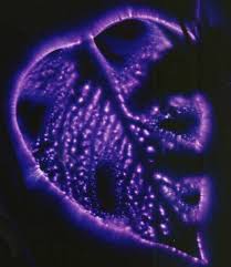 Image result for Jakub Jodko-Narkiewicz Kirlian