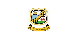 Image result for Pembroke Dock Harlequins RFC