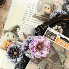 Attēlu rezultāti vaicājumam “Ephemera sp.”