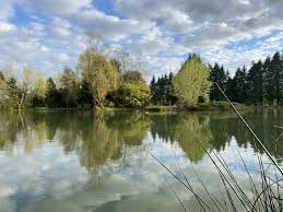 Image result for The Vale of Evesham's Kayak and Canoe Club