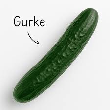 Image result for Gurke