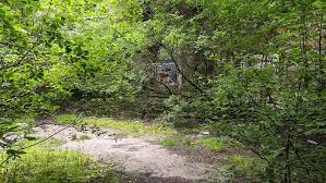 Image result for Lennox Castle Bowling Club