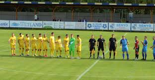 Image result for sényő