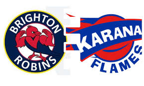 Image result for Robins Netball Club