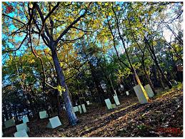 Image result for The Paintball Zone, Liverpool