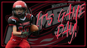 Image result for Comets Junior Badminton Club