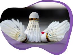 Image result for Wigston Badminton Academy