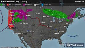 Image result for Leicester Lightning