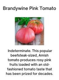 Afbeeldingsresultaat voor brandywine sudduth tomato