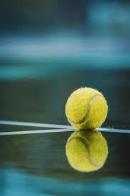 Image result for West Worthing Tennis & Squash Club