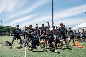 Image result for Walcountain Blues Lacrosse