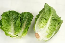 Attēlu rezultāti vaicājumam “Lactuca sativa”