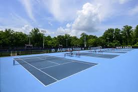 Image result for Aldingbourne Tennis Club