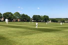 Image result for Stowmarket Meadlands Recreation Club