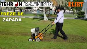 Image result for eliet tehron