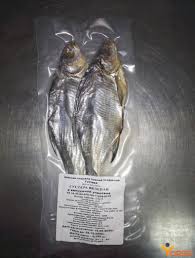 Image result for Blicca bjoerkna