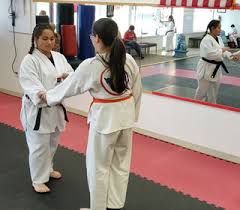 Image result for TopKick Martial Arts Center Leesburg
