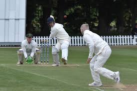 Image result for Spalding Cc