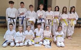 Image result for Epsom & Ewell Karate Club
