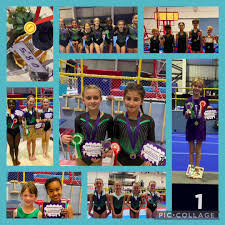 Image result for Brighton & Hove Gymnastics Club