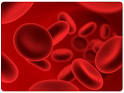 Anticoagulation Therapy / Blood Thinners - Injectable - Oral ...