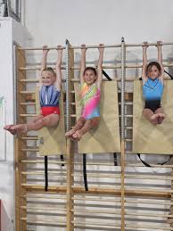 Image result for Altius Trampoline Club