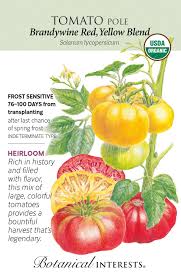 Afbeeldingsresultaat voor brandywine tomato